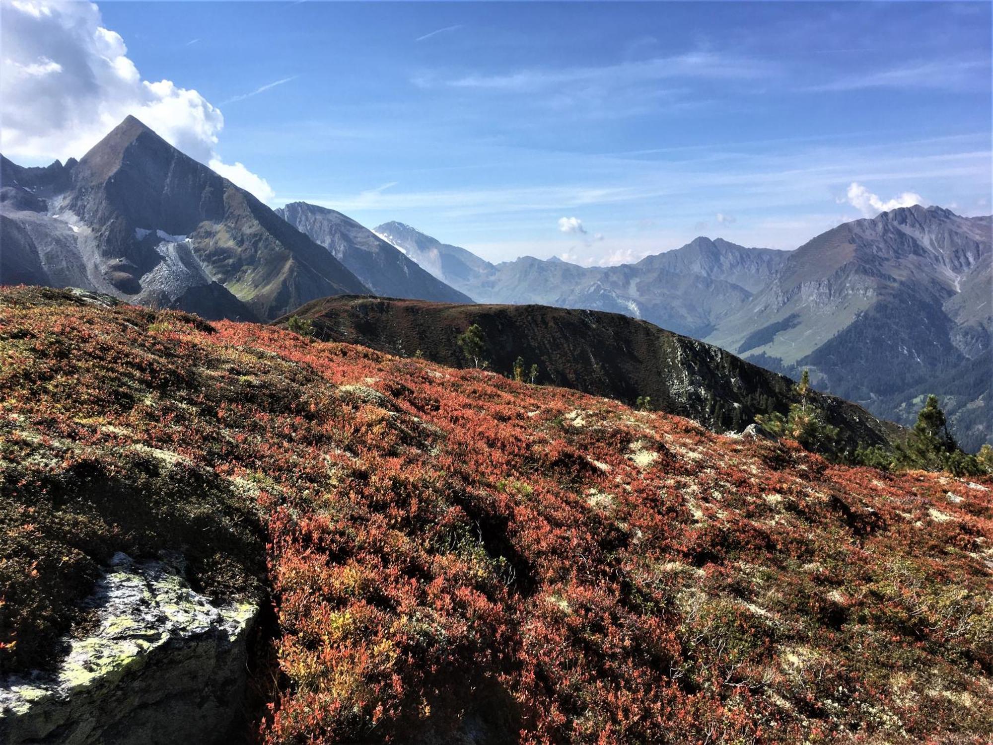 Monas Home Mayrhofen Esterno foto
